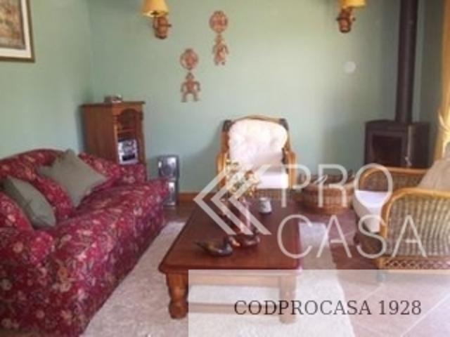 A 5 Minutos Del Centro/, Pucón