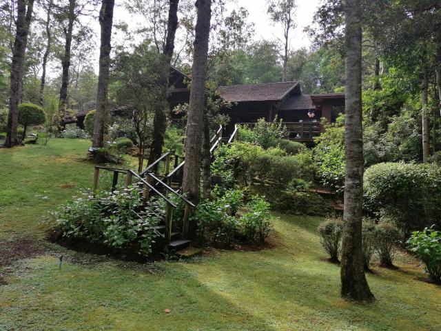 A 5 Minutos Del Centro/, Pucón