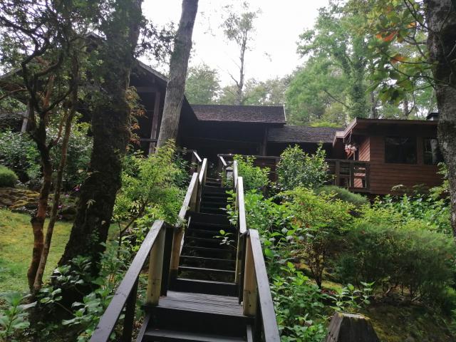 A 5 Minutos Del Centro/, Pucón