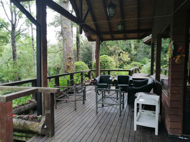 A 5 Minutos Del Centro/, Pucón