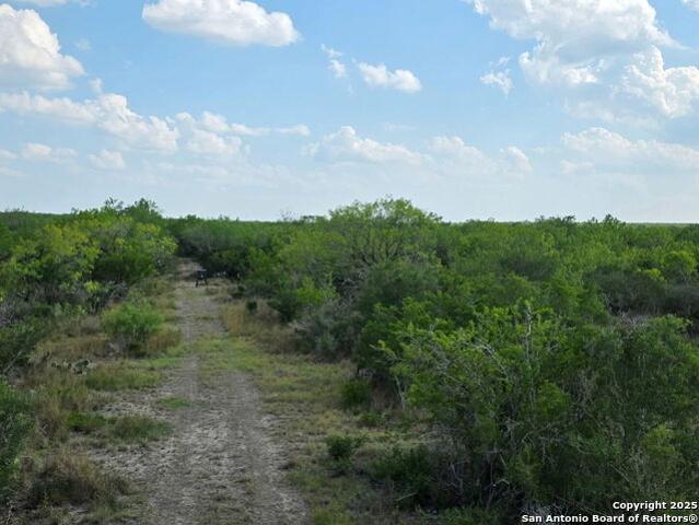 Land for sale in Tilden, Texas