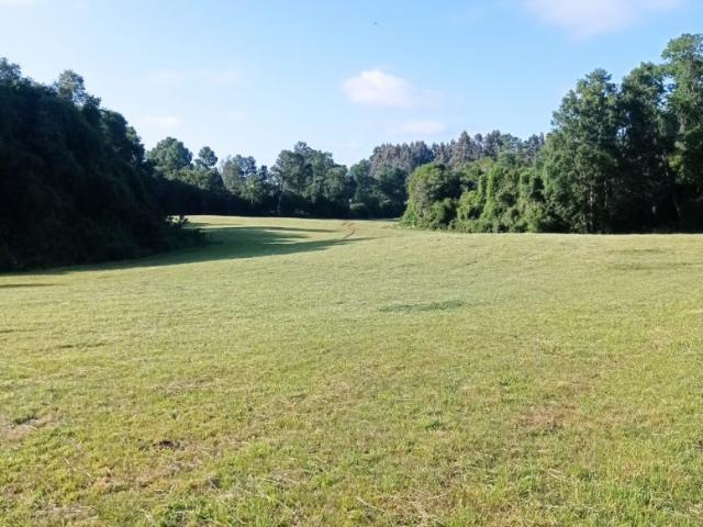 Terreno en venta en Lago Ranco, Los Ríos