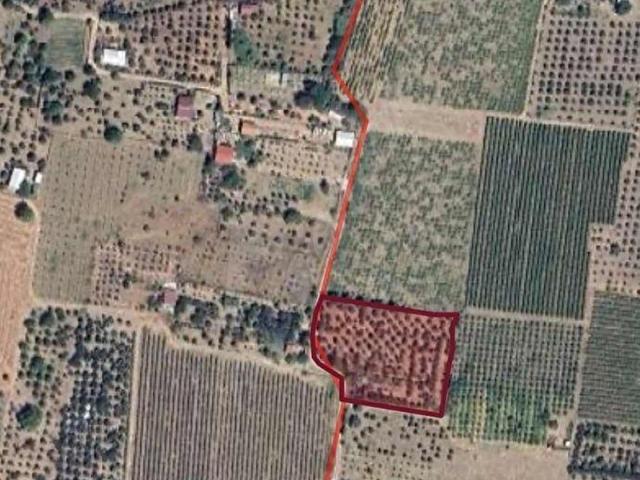 Kemalpaşa, İzmir içerisinde satılık Arsa