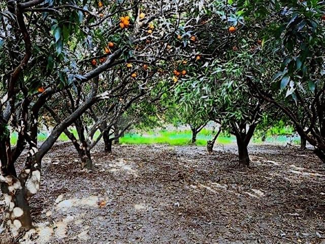 Konyaalti, Antalya içerisinde satılık Arsa
