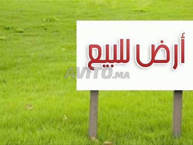 Propriété vente à Agadir, Oued ed Dahab-Lagouira