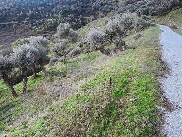 Bayindir, İzmir içerisinde satılık mülk