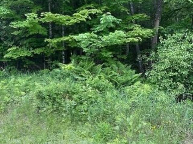 Land for sale in Corinth, Penobscot County
