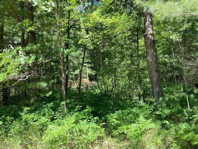 Land for sale in Luther, Michigan