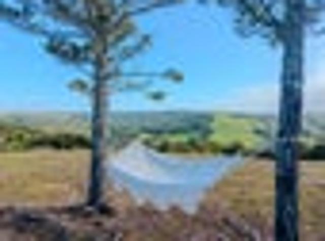 House for sale in Karetu, Northland