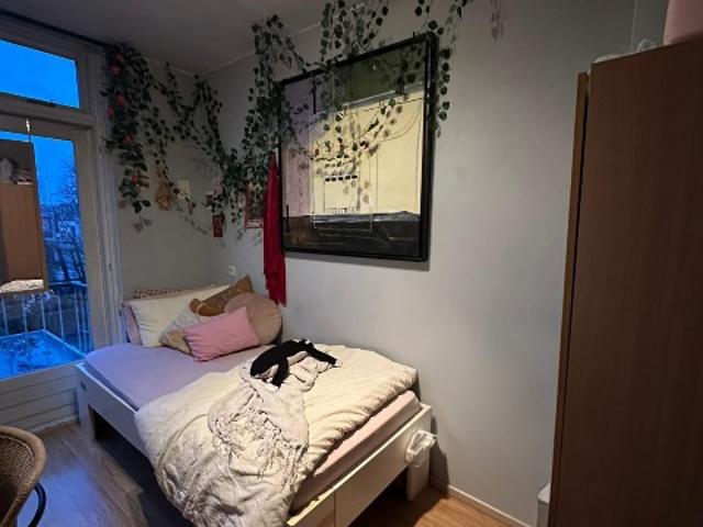 Kamer te huur in Het Lage Land, Rotterdam