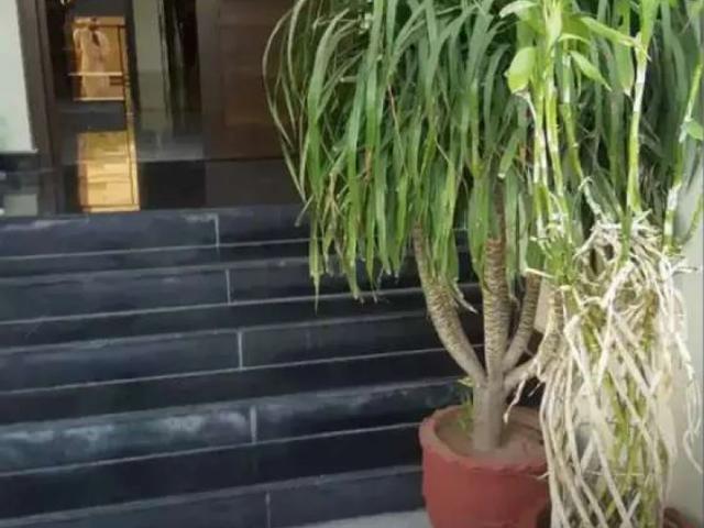 House for rent in Islamabad