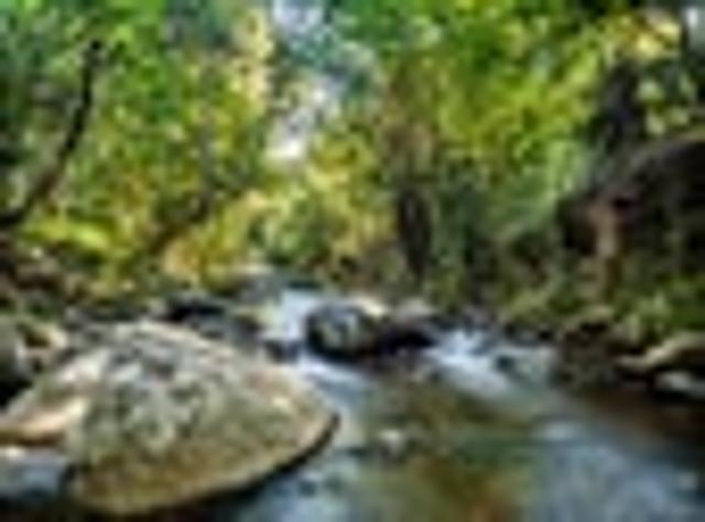 House for sale in Bay Of Plenty