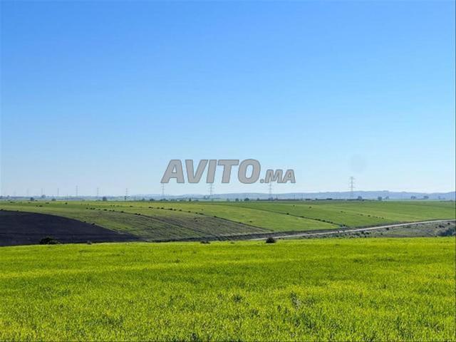 Propriété vente à El Ma, Gharb-Chrarda-Beni Hssen