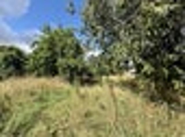 Land for sale in Ruapehu District