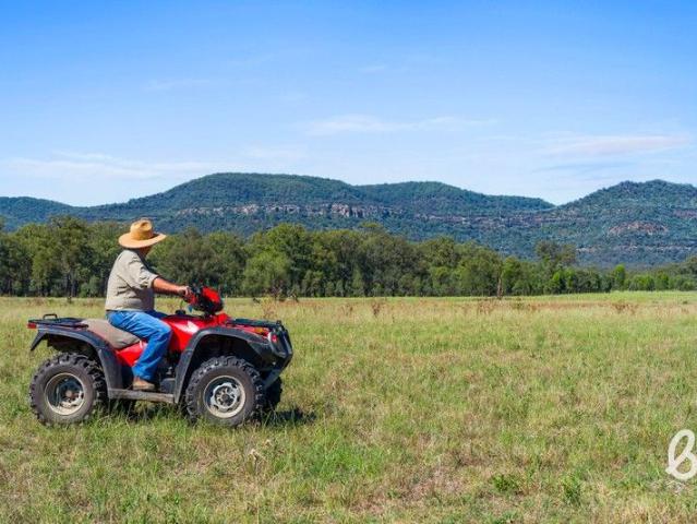 Land for sale in Jerrys Plains, New South Wales