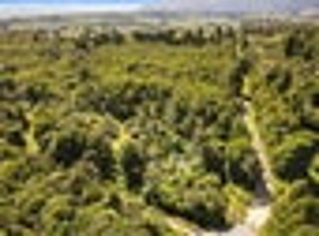 Land for sale in Karamea, West Coast