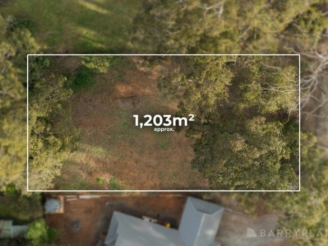 Land for sale in Camerons Creek, Victoria