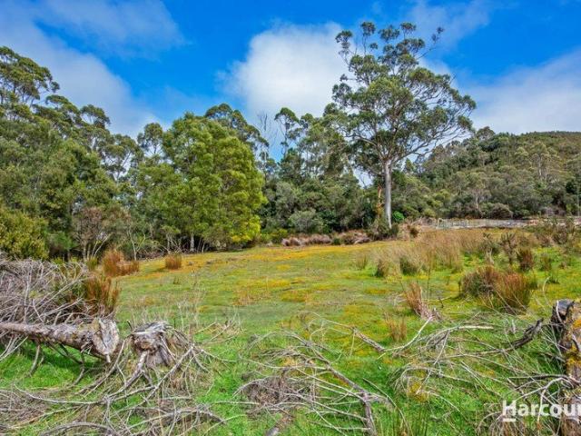 Land for sale in Zeehan, West Coast