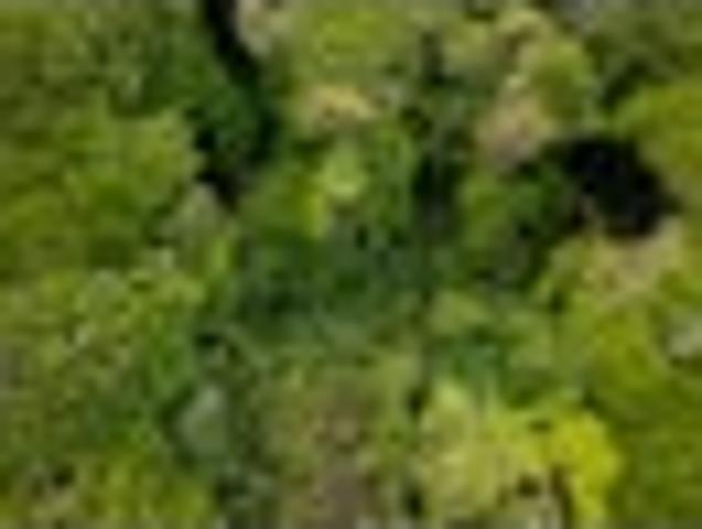 Land for sale in Waikanae, Wellington