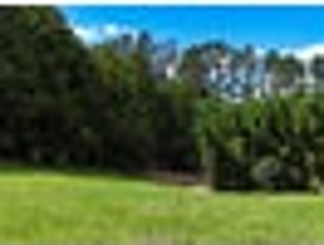 Land for sale in Karetu, Northland