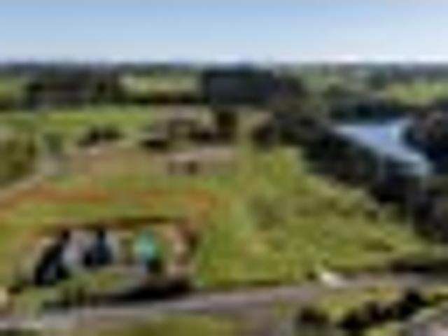 Land for sale in Waikato