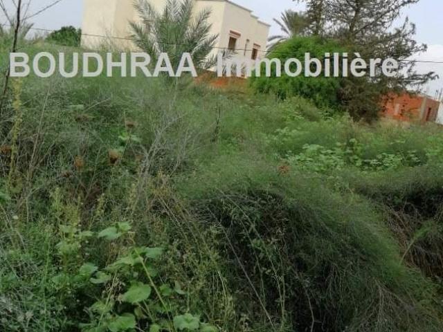 Terrain vente à Ariana Ville