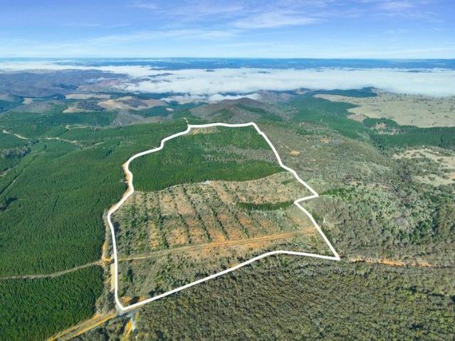 Cottage for sale in Burraga, New South Wales