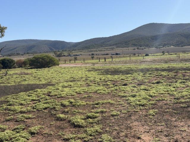 Land for sale in Warnertown, South Australia