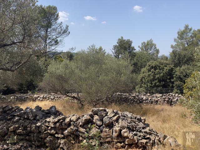 Maison vente à Cabasse, Var