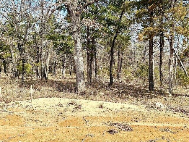 Land for sale in Gordonville, Texas