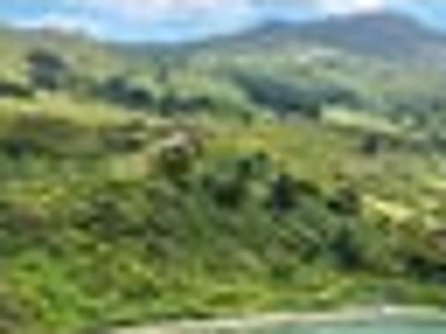 Land for sale in Otakou