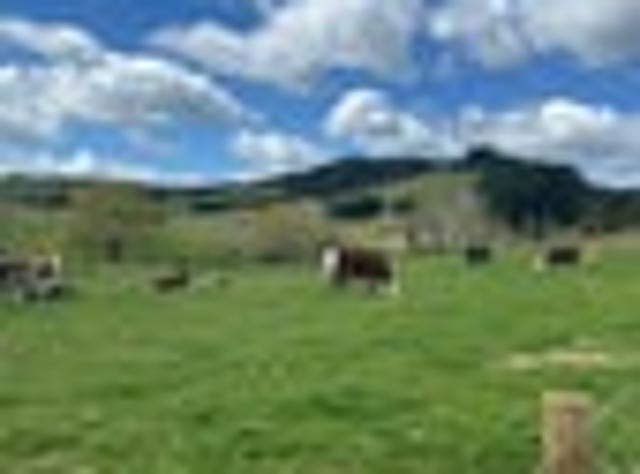 Land for sale in Karetu, Northland