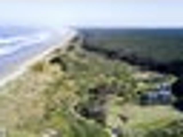Land for sale in Fairburn, Northland