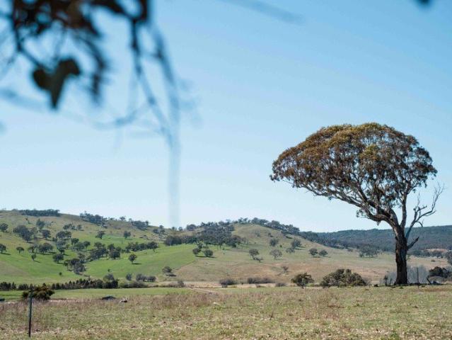Apartment for sale in Sutton, New South Wales