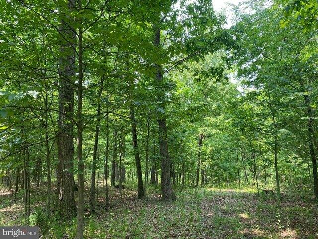 Land for sale in Greencastle