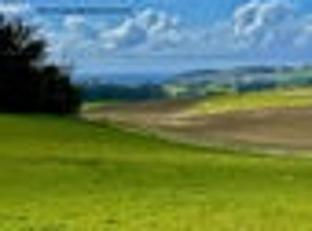 Land for sale in Whitecraig, Kākaunui