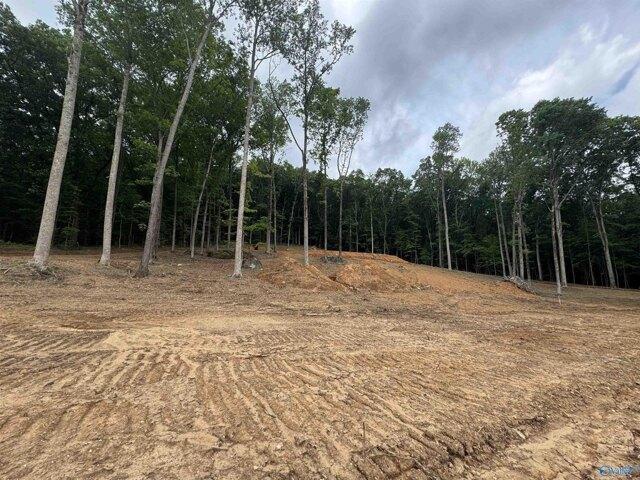 Land for sale in Scottsboro