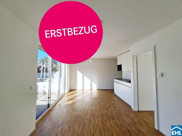 Apartment mieten in Donaustadt, Wien