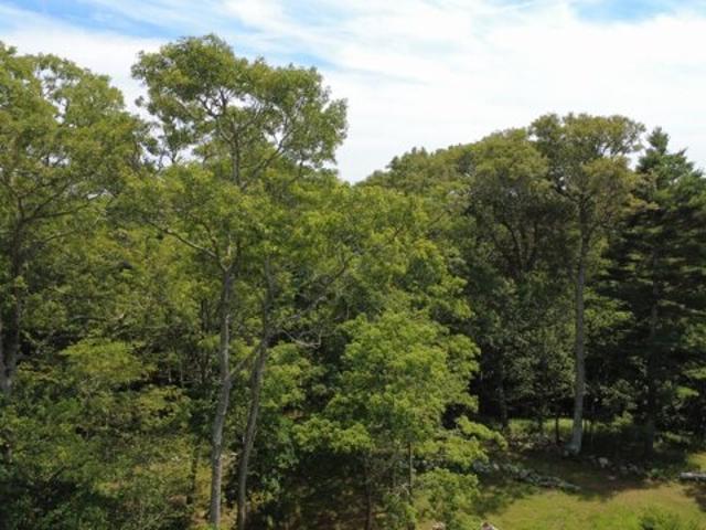 Land for sale in West Tisbury, Massachusetts