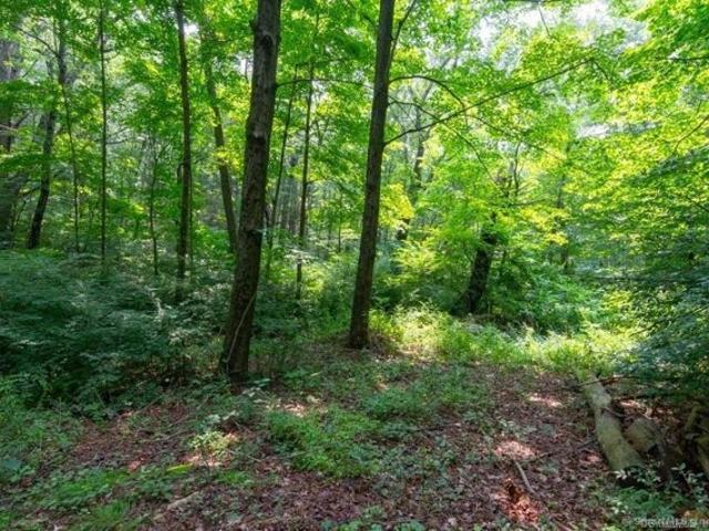 Land for sale in Plymouth