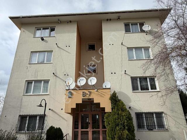 Adapazari, Sakarya içerisinde kiralık mülk