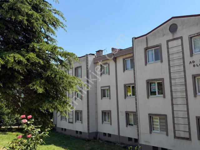 Adapazari, Sakarya içerisinde kiralık mülk