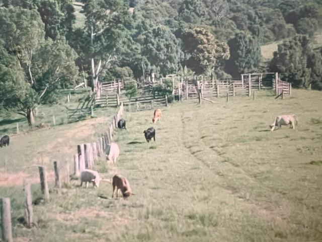 Property for sale in Allgomera, New South Wales