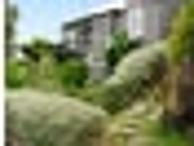 House for sale in Whangarei, Northland