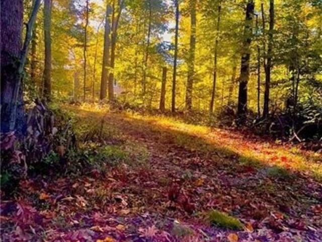 Land for sale in Old Lyme, Connecticut