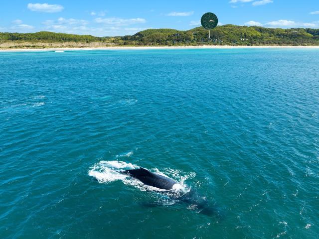 House for sale in Broken Head, New South Wales