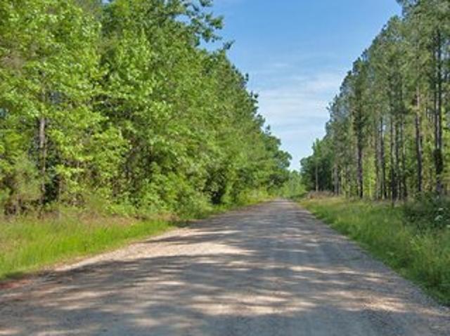 Land for sale in Louisburg, North Carolina