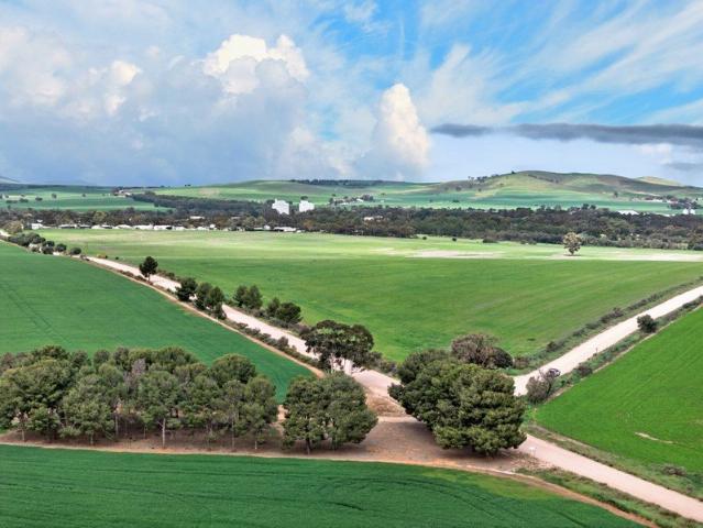 Property for sale in Gladstone, South Australia