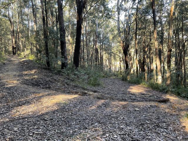 Property for sale in Gosford, New South Wales
