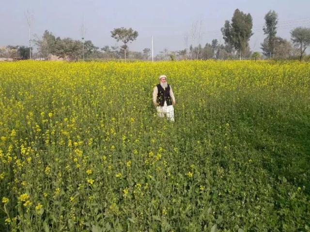 Land for sale in Dera Ghazi Khan, Islamabad Capital Territory